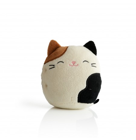 Squishmallows Bluetooth speaker Cam