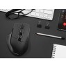 Tracer 46950 Cozy RF 2.4GHz