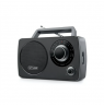 Muse | Portable Radio | M-075 R | AUX in