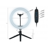 Tracer 46747 LED Ring Lamp 26cm