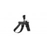 GOPRO FETCH (DOG HARNESS)
