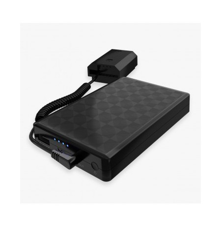 Newell Power bank with battery adapter for Sony PB-FZ100