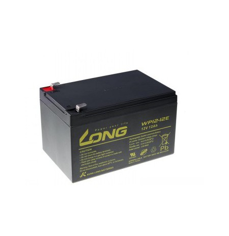 LONG 12V 12AH LEAD-ACID BATTERY DEEPCYCLE AGM F2 (WP12-12E)