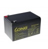 LONG 12V 12AH LEAD-ACID BATTERY DEEPCYCLE AGM F2 (WP12-12E)