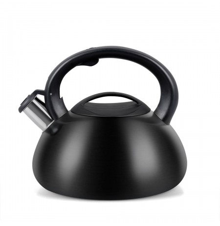 Kettle PROMIS TMC01BS AUGUSTO MATTE 3 liters INDUCTION, GAS