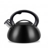 Kettle PROMIS TMC01BS AUGUSTO MATTE 3 liters INDUCTION, GAS