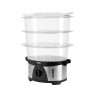 TEESA steamer