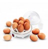 Egg cooker electric Esperanza EGG MASTER EKE001