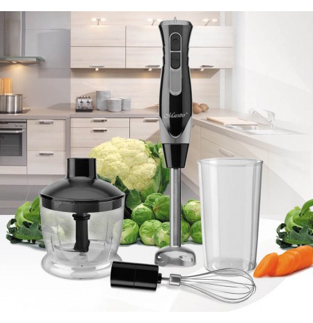 Blender  Maestro MR-566
