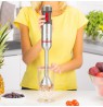 Zelmer ZHB4652 VARIO 0.5 L Immersion blender 1400 W Grey, Silver