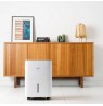 Taurus Pleasant Water Pump 30l Dehumidifier