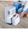 Taurus Pleasant 12l dehumidifier