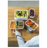 Dinox Plastic Lunch Box ZWILLING FRESH & SAVE 36801-310-0 1.6 L