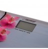 Weighing scale bathroom Esperanza Orchid EBS010 (gray color)