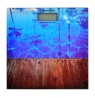 Weighing scale bathroom Esperanza Waikiki EBS011