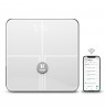 Bathroom scale TESLA TSL-HC-BF1321 Smart Composition Scale Wi-Fi Style
