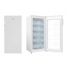 Free-standing freezer FZ206.5(E) E White