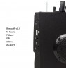 Audiocore bluetooth portable speaker, FM radio, SD/MMC card slot, AUX, USB, remote control, AC730