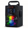 Audiocore bluetooth portable speaker, FM radio, SD/MMC card slot, AUX, USB, remote control, AC730