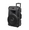Azusa Active Column (with 2 wireless mics, SD, Bluetooth, USB) 12" 40W