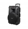 Active loudspeaker (with 2 wireless microphones, SD, Bluetooth, USB) 15&quot, 120W