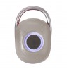 Techly ICASBL321GR portable speaker Mono portable speaker Grey 5 W