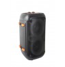 Esperanza EP156 BT FM LED RGB KARAOKE Speaker Black 20W