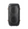 Esperanza EP156 BT FM LED RGB KARAOKE Speaker Black 20W