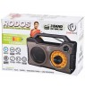 Rebeltec RODOS Portable Bluetooth player  radio FM 10W RMS