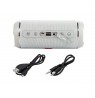 Speakers bluetooth BLOW BT460 30-326 (gray color)