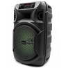 SQUEAK KARAOKE SPEAKER PULSETOWER BT 5.3 + EDR SQ1006
