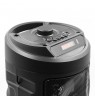 SQUEAK KARAOKE SPEAKER HARMONY BT 5.0 SQ1004