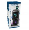 SQUEAK KARAOKE SPEAKER HARMONY BT 5.0 SQ1004