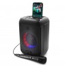 SQUEAK KARAOKE SPEAKER BEATFLOW BT 5.0 + EDR SQ1005