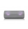 Speaker BT JVC XS-E423G Speaker BT grey