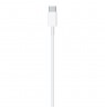 Apple MM0A3ZM/A lightning cable 1 m White