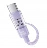 Baseus Gem USB C to USB C fast charging cable 2 m 100 W Purple
