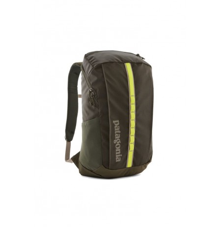 Backpack black hole pack 25l-pine needle green PATAGONIA