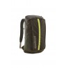 Backpack black hole pack 25l-pine needle green PATAGONIA