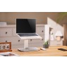 Gembird NBS-D1-02 Height adjustable notebook riser stand, silver
