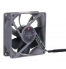 Noctua NF-R8 redux-1800 PWM Computer case Fan 8 cm Black, Grey
