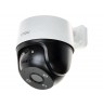 IPC-S21FAP