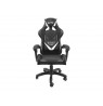 FURY Avenger L Universal gaming chair Padded seat Black