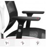 Diablo V-BASIC gaming chair white and black