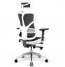 Diablo V-BASIC gaming chair white and black