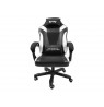 FURY Avenger M+ Universal gaming chair Padded seat Black, White