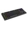 GAMING KEYBOARD GENESIS THOR 404 TKL DE RGB BACKLIGHT MECHANICAL BLACK KAILH BOX BROWN