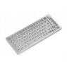 Glorious GMMK Pro White Ice 75% TKL Keyboard - Barebone, ANSI Layout, Silver