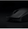 Logitech Gaming Mouse G Pro - mus - LI