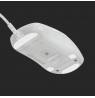 Endgame Gear OP1 RGB Gaming Mouse - White Frost